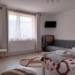 Casa Scheiana Bed & Breakfast Brasov