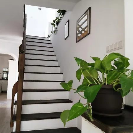 Casa Scheiana Bed & Breakfast Braşov
