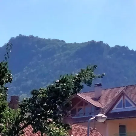 Casa Scheiana *
