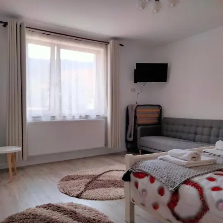 Casa Scheiana Bed & Breakfast Brašov