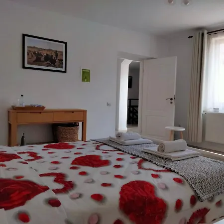 Oda ve Kahvaltı Casa Scheiana Braşov
