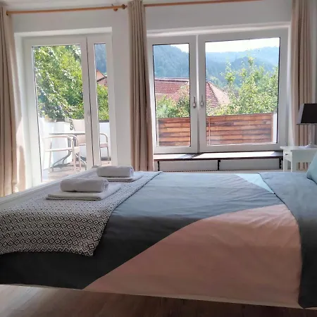 Casa Scheiana *