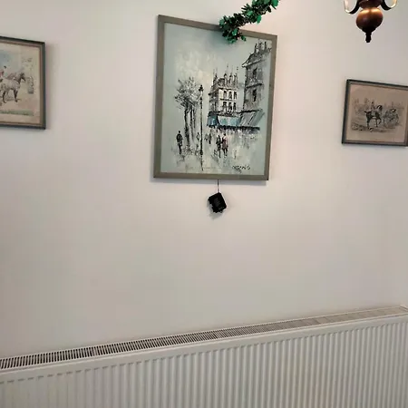 Casa Scheiana
