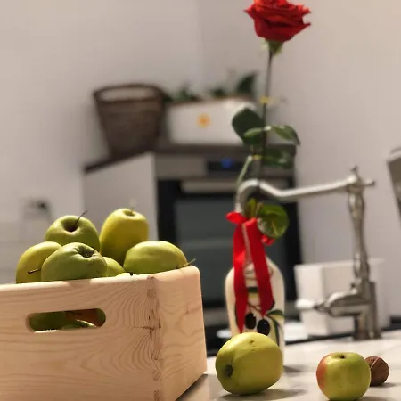 Bed & Breakfast Casa Scheiana