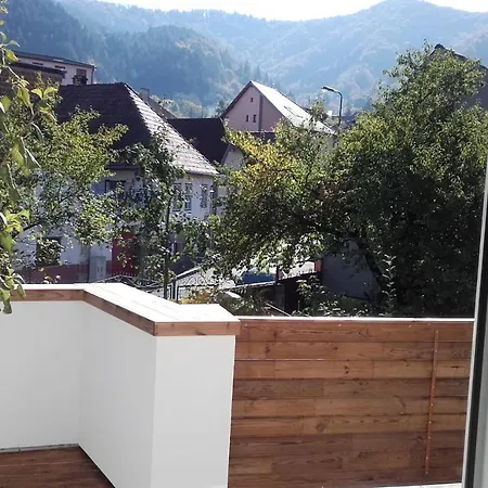 Casa Scheiana Bed & Breakfast Braşov
