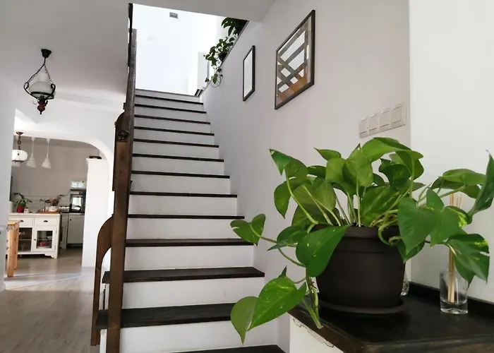 Casa Scheiana Отель типа 