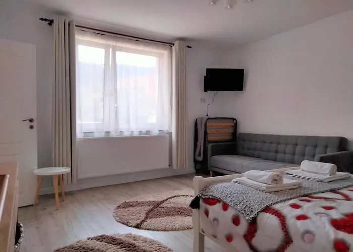 Casa Scheiana Bed & Breakfast Brasov