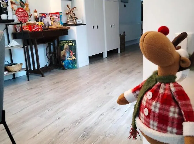 Casa Scheiana Bed & Breakfast Brasov