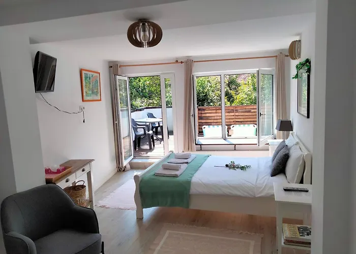 Casa Scheiana Брашов