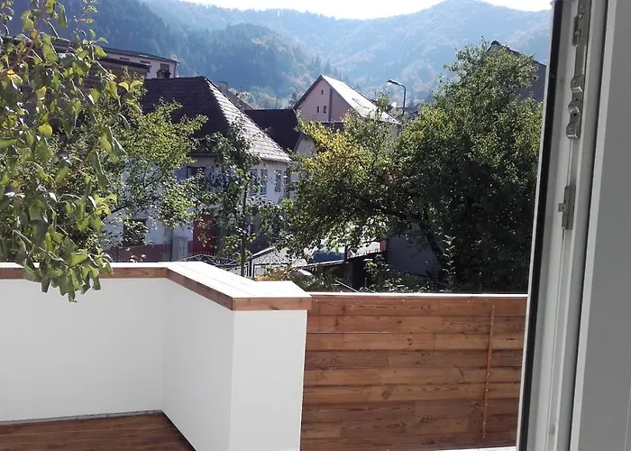 Casa Scheiana Bed & Breakfast Brasov