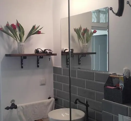 Casa Scheiana Брашов